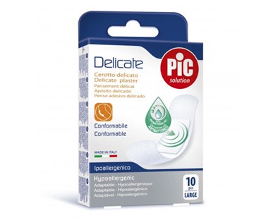 PIC FLASTER DELICATE A10